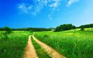 beautiful_scenery-1920x1200