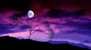 moon_behind_tree-1920x1080