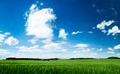 summer_wallpaper_by_emats