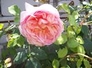 Abraham Darby