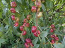 DSCN3051