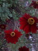 IMG_20140705_211045