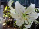 IMG_20140707_101701