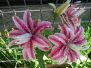IMG_20140707_101730