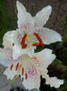 IMG_20140707_101738