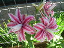 IMG_20140707_101719