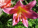 IMG_20140707_102340