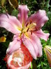 IMG_20140707_102538