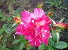 IMG_20140705_203505
