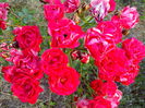 IMG_20140706_200729