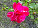 IMG_20140706_200742