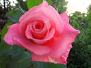 IMG_20140706_200901
