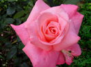 IMG_20140706_200917