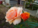 IMG_20140706_201042