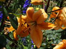 DSC05700