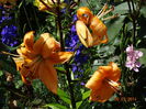 DSC05701