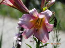 DSC05661