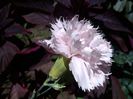 IMG_20140705_150823