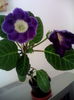 IMG_20140707_163853