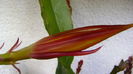 DSC01198