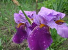 DSCF5698