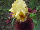 DSCF5719