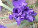 DSCF6844