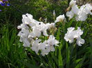 DSCN0211