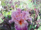 DSCN0214