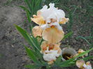 DSCN0217