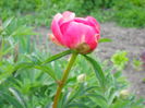 DSCN0220