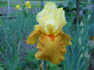 DSCN0223