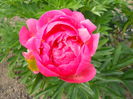 DSCN0224