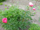 DSCN0225