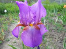 DSCN0226