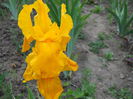 DSCN0227