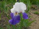 DSCN0229