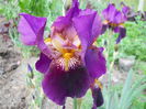 DSCN0231