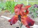 DSCN0232