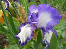DSCN0240