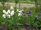 DSCN0243