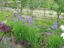 DSCN0244
