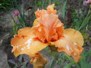 DSCN0245