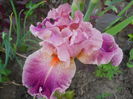 DSCN0247