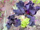 DSCN0249