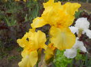 DSCN0251