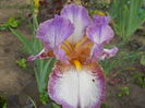 DSCN0253