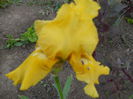 DSCN0254