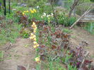 DSCN0257