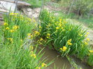 DSCN0259